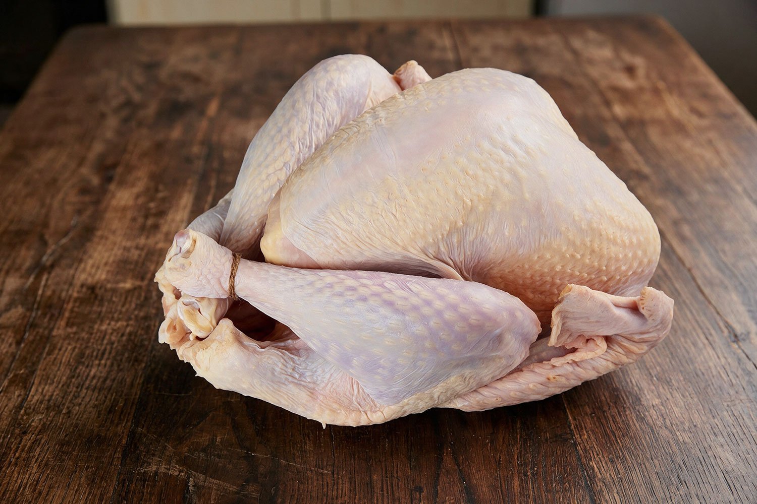 Pavo