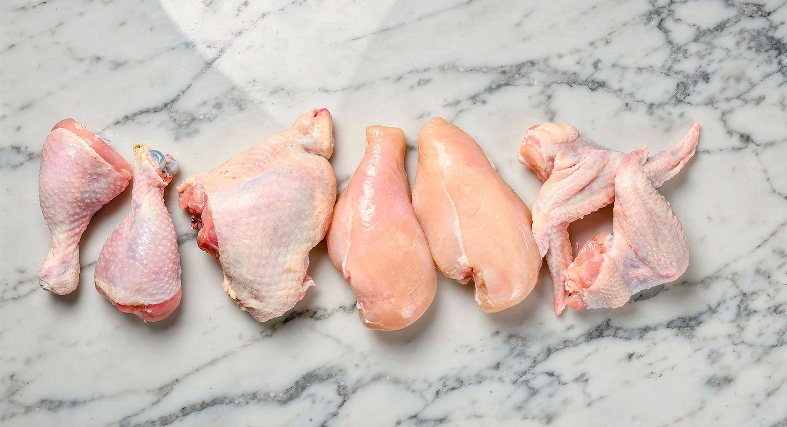 Pollo y pavo