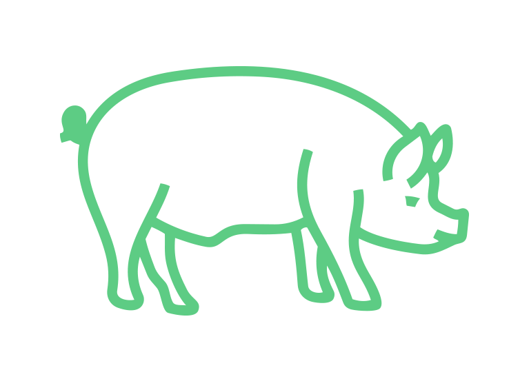 CERDO